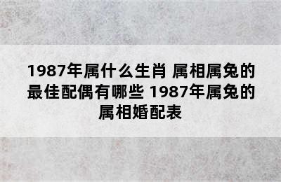 1987年属什么生肖 属相属兔的最佳配偶有哪些 1987年属兔的属相婚配表